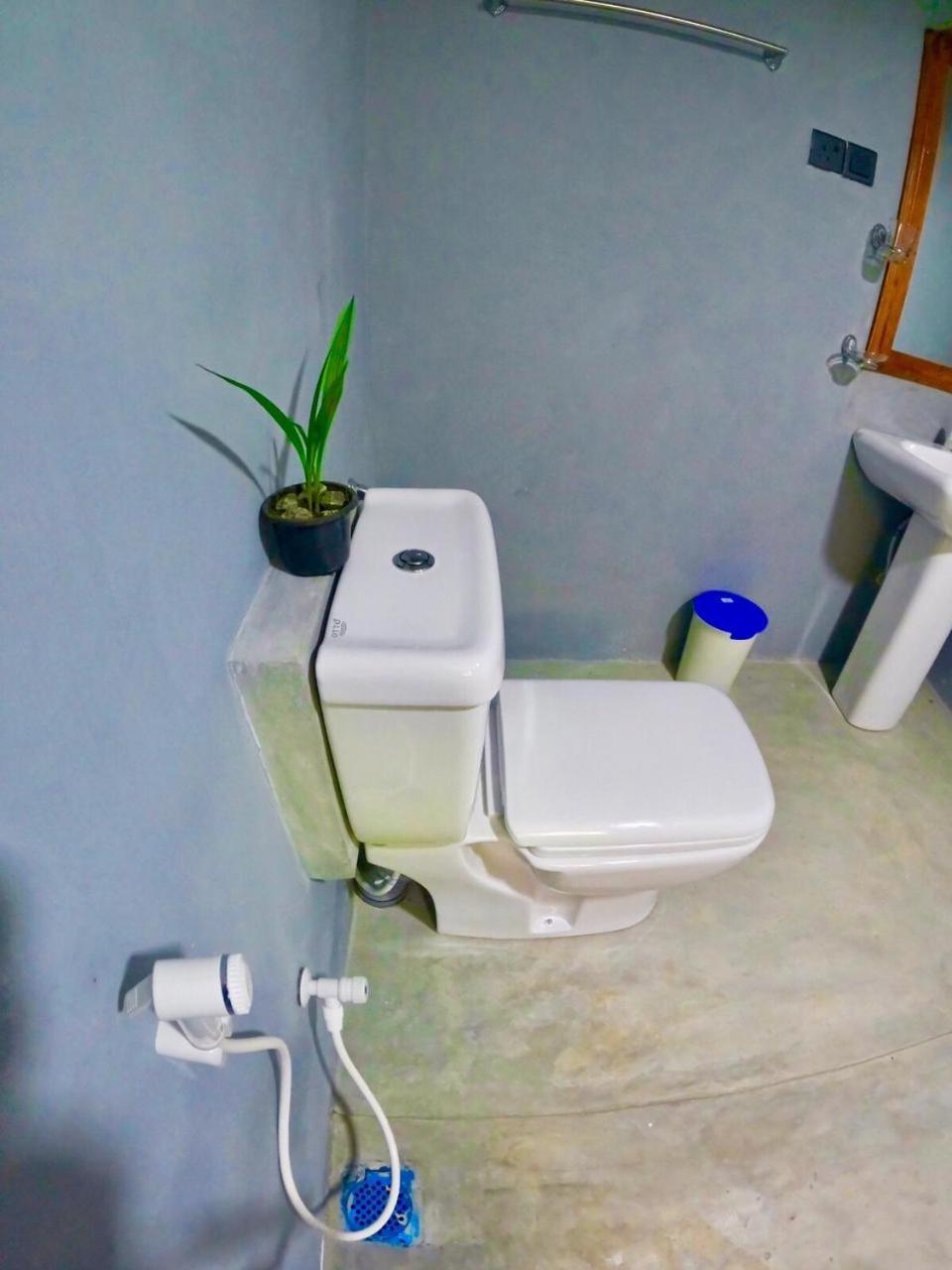 Ostello Surf Resort Ahangama Zewnętrze zdjęcie