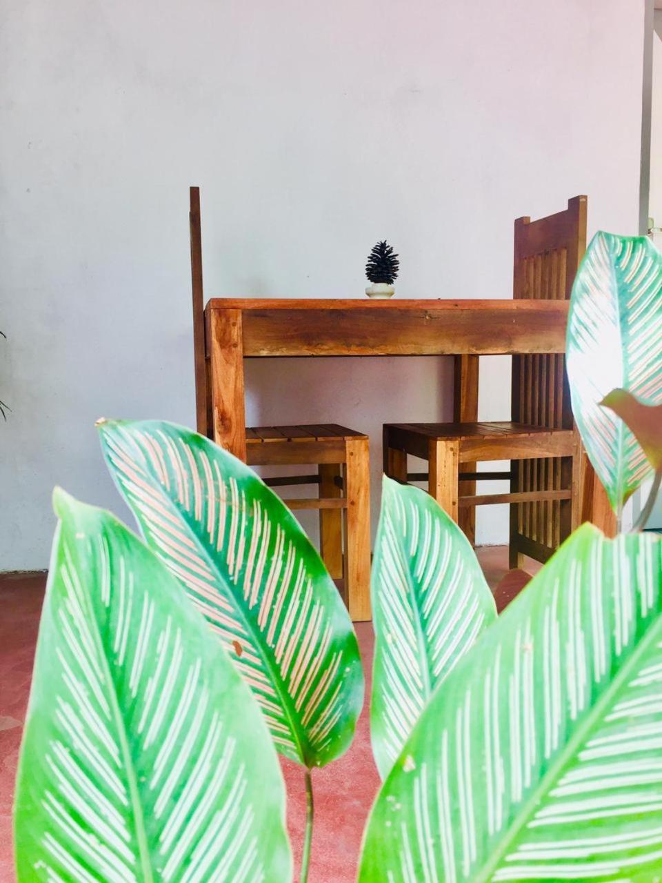 Ostello Surf Resort Ahangama Zewnętrze zdjęcie