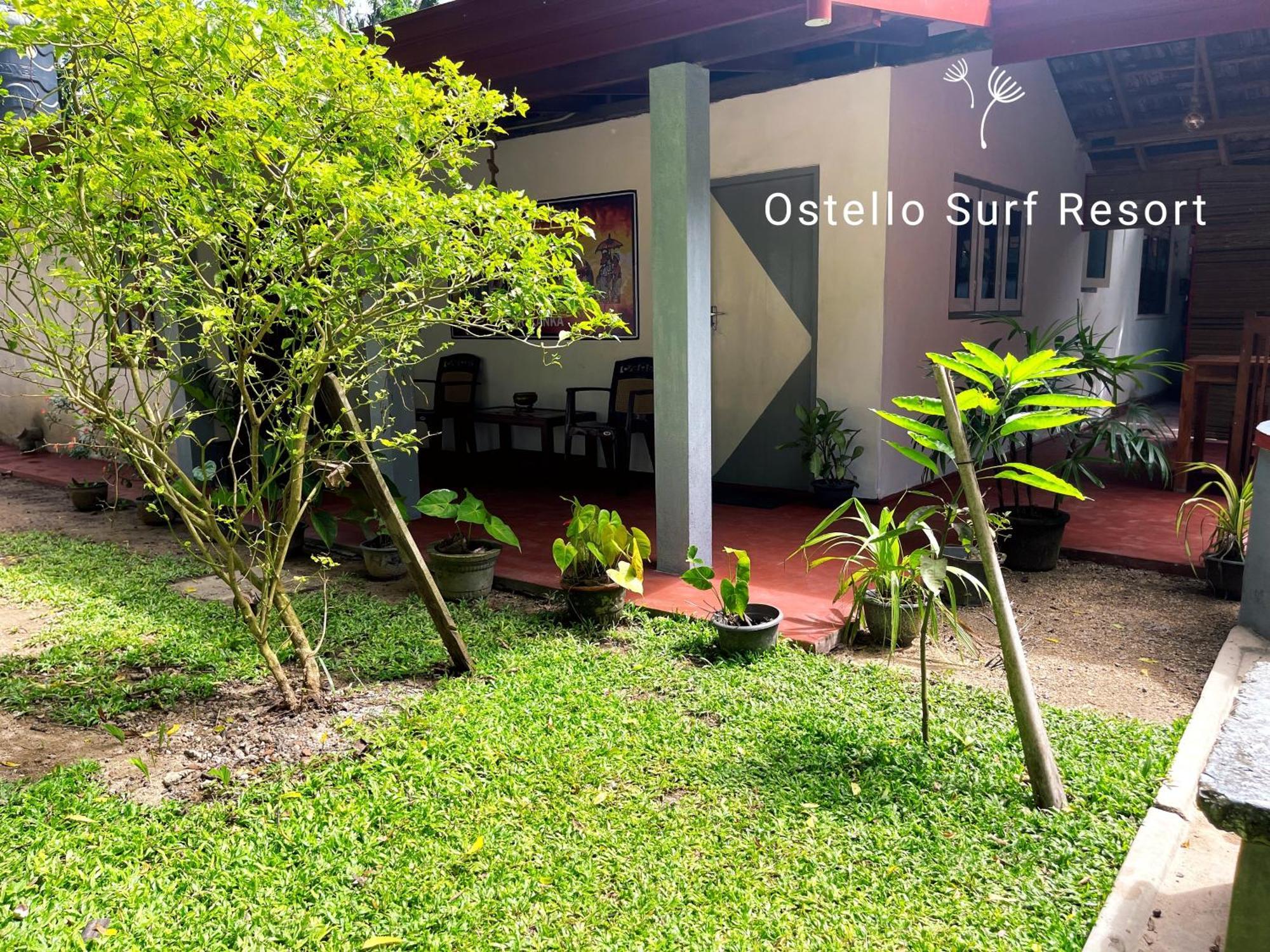 Ostello Surf Resort Ahangama Pokój zdjęcie